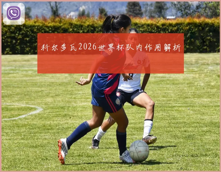 科尔多瓦2026世界杯队内作用解析