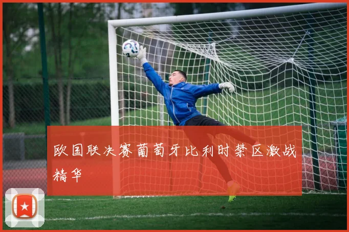 欧国联决赛葡萄牙比利时禁区激战精华