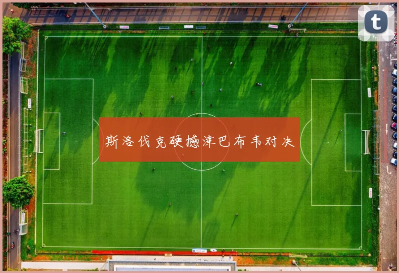 斯洛伐克硬撼津巴布韦对决